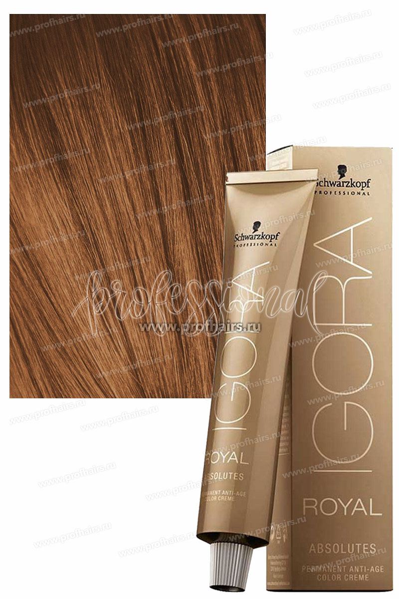 Schwarzkopf Igora Absolutes 6-70 Темный русый медный натуральный 60 мл.