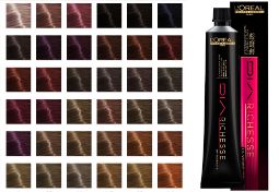 Палитра оттенков LOreal Dia Richesse