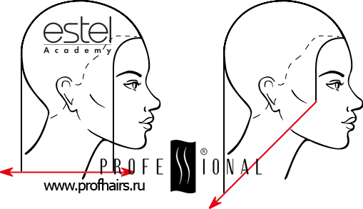 Роста волос на голове от эстель