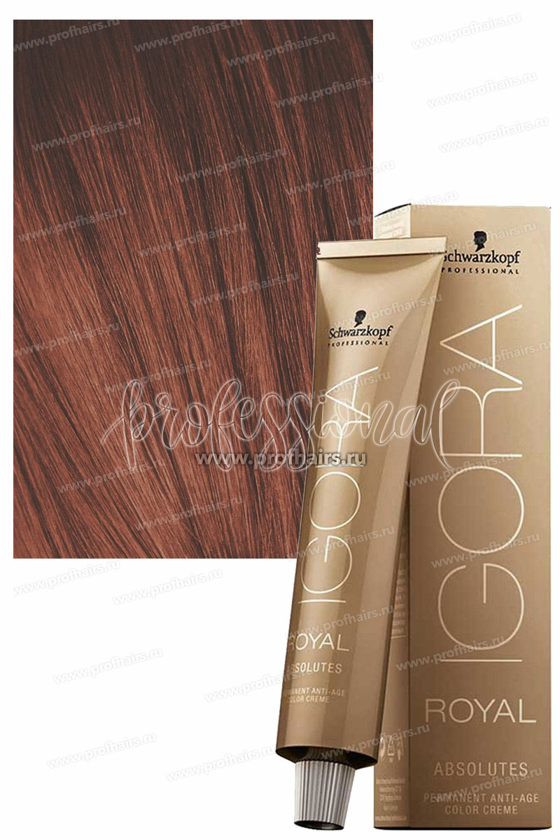 Schwarzkopf Igora Absolutes 6-80 Темный русый красный натуральный 60 мл.